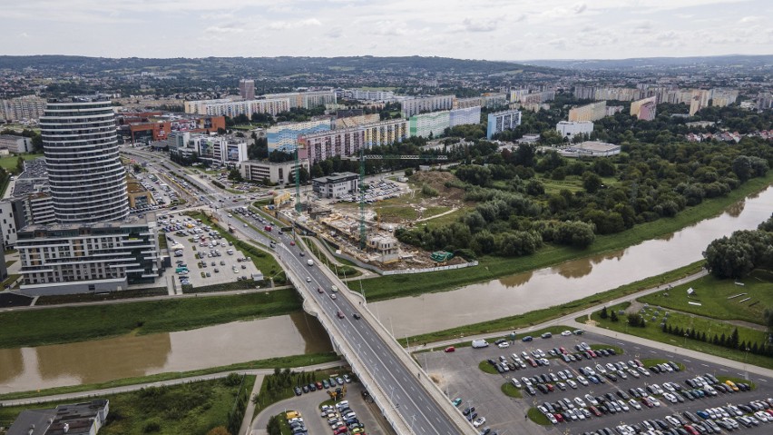 Jak to w Rzeszowie o zieleń dbano... NIK wydał raport z kontroli zachowania zieleni w miastach. Jak wypadła stolica Podkarpacia?