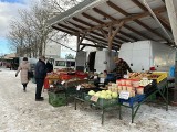 Wtorek na targowisku w Koszalinie. Pogoda odstraszyła wystawców [ZDJĘCIA]