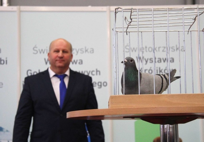 Wielka licytacja gołębi w Targach Kielce. Zebrano ponad 52 tysiące złotych dla Centrum Pediatrii
