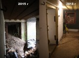 Członkowie Klubu offroadowego 4x4 Dream Team zakochali się w starym bunkrze w Czerwieńsku, więc postanowili go wyremontować! [ZDJĘCIA]