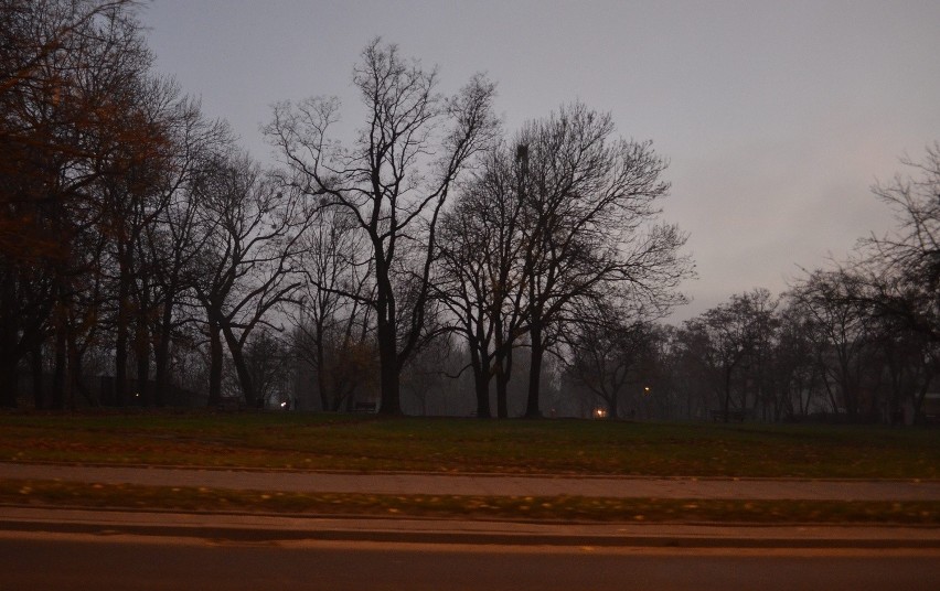 W tym miejscu, między ul. Konstytucyjną, a centrum handlowym...