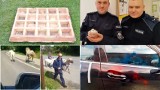 Skradziony ozdobny gofr, zaginiony kogut i uciekające kucyki. 20 nietypowych interwencji policjantów z woj. lubelskiego w 2022 roku