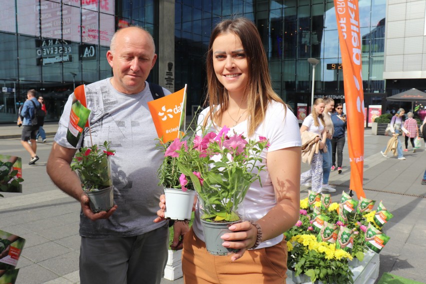 Kwiaty rozdane, surowce zebrane. Zakończyła się akcja „Sadzonka za surowce wtórne” w Katowicach 