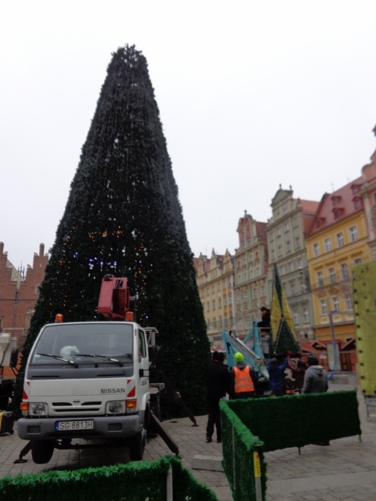 Wrocław: Na Rynku już stawiają wielką choinkę (ZDJĘCIA)