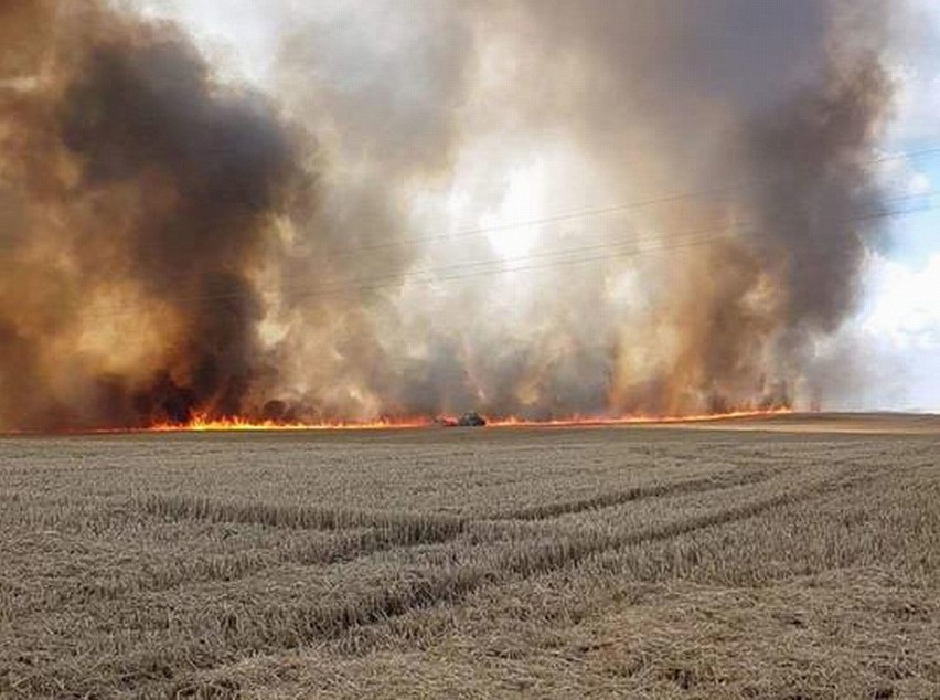 Strażacy z powiatu międzyrzeckiego codziennie wyjeżdżają...