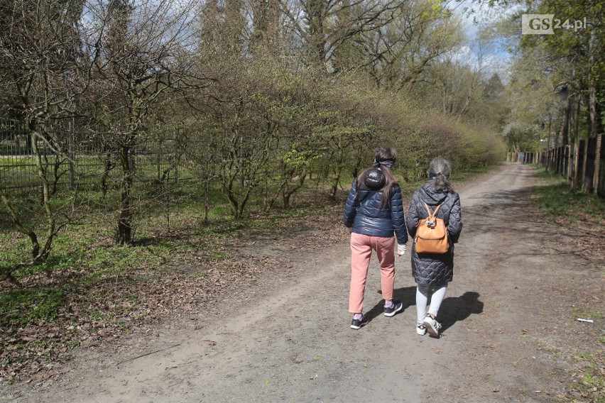 Al. Fałata w Szczecinie. Znamy termin otwarcia. Dobra wiadomość dla spacerowiczów i rowerzystów