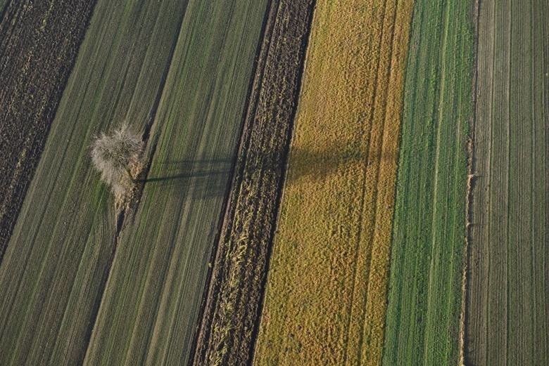 Tak wygląda Nowa Huta. Zobacz niesamowite zdjęcia z lotu ptaka 