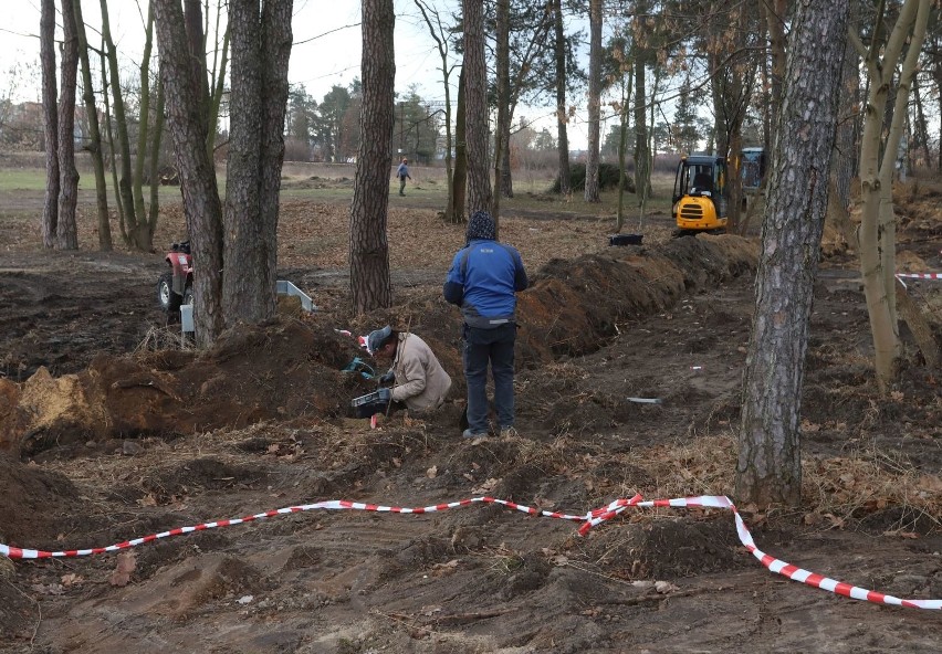 Kolejny etap projektu "Zielone Pionki". Prace ruszyły przy ulicy Niepodległości