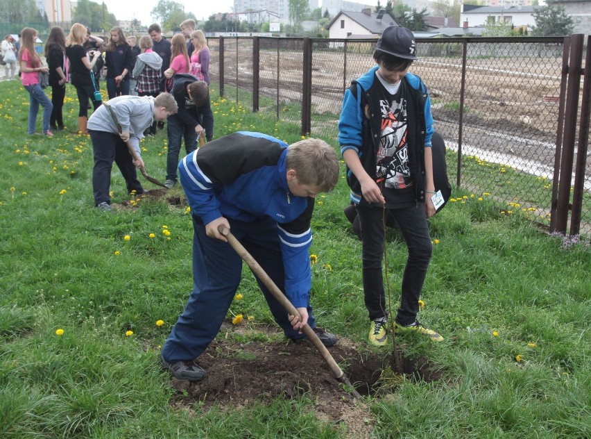 Sadzenie drzewek na radomskim Ustroniu