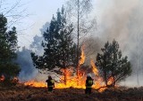 Najwyższy stopień zagrożenia pożarowego w zachodniopomorskich lasach!