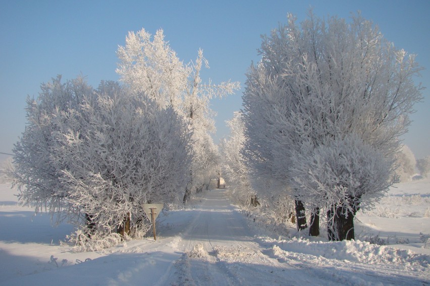 Zima 2010 w gminie Pałecznica