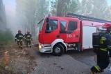 Pożar w Borównie. Paliło się w dawnej kawiarni
