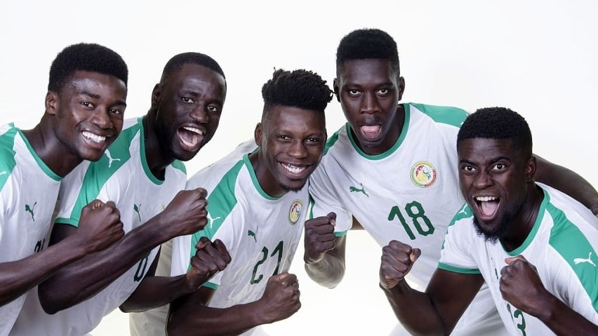 Senegal

fot. fifa.com