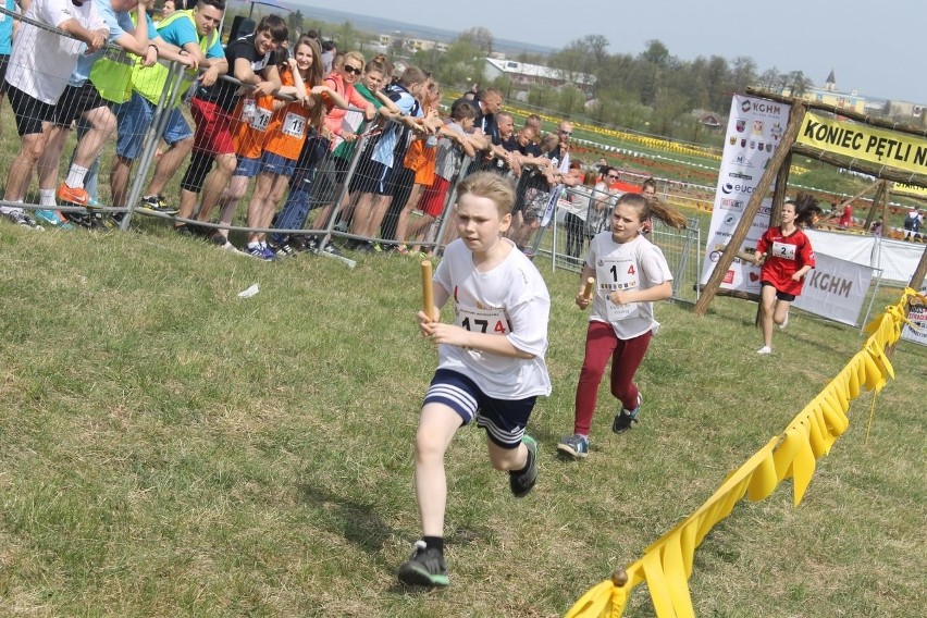 Cross Straceńców 2015. Sztafetowe Mistrzostwa Głogowa [Zdjęcia]