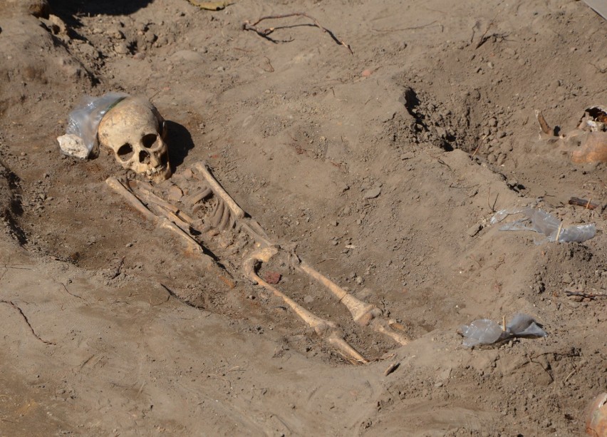 W tym roku archeolodzy znaleźli w Byczynie szczątki 457...