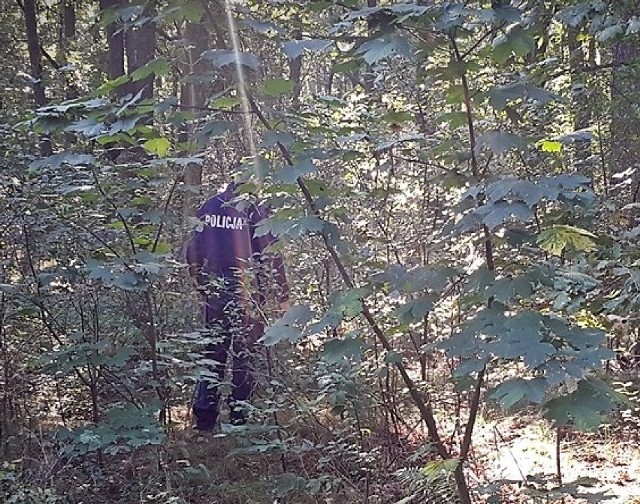 Sama w lesie, przemoczona, z bolącą nogą i pod osłoną nocy. 39-letnia mieszkanka gminy Tarnówka nigdy nie zapomni niedzielnego grzybobrania.