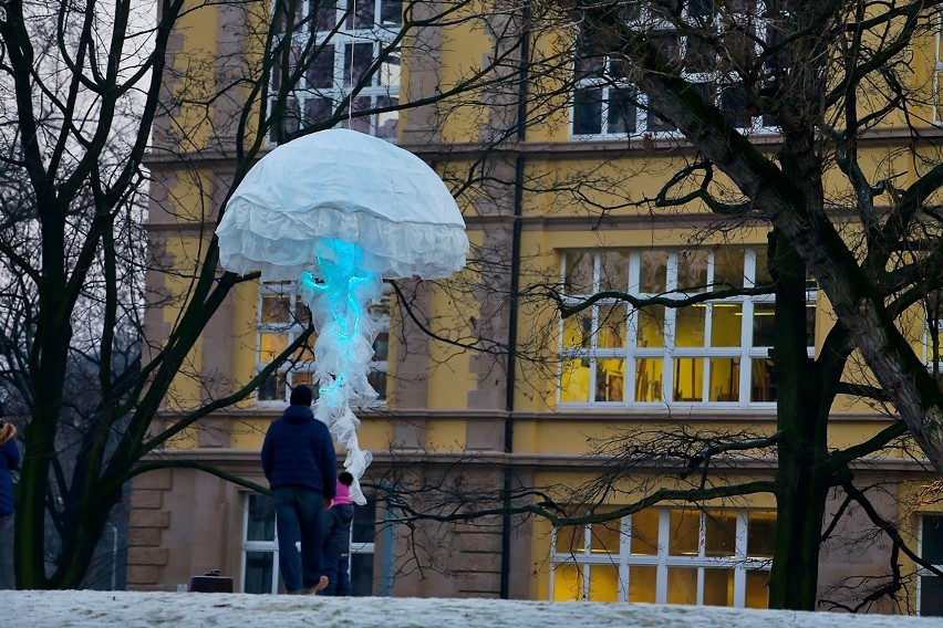 Ścieżka światła na Bulwarze Dunikowskiego