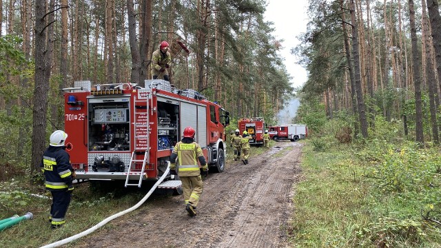 W leśnictwie Ruda strażacy ćwiczyli na wypadek dużego pożaru lasu.