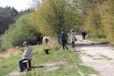 Mieszkańcy Mikołowa i Katowic chętnie korzystają z uroków Stargańca. Spacerowicze wrócili, bo znów można wchodzić do parków lasów