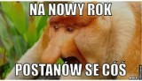 Postanowienia noworoczne MEMY. Nowy rok nowa ja! Najlepsze memy o postanowieniach noworocznych 3.01.2024