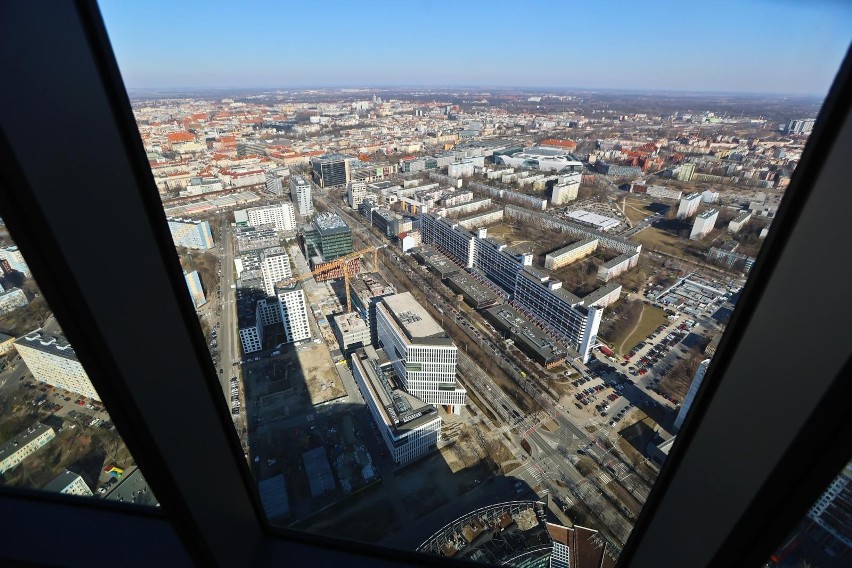 Widok ze Sky Tower