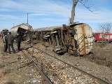 Pociąg wykoleił się z powodu złego stanu nawierzchni (zdjęcia)