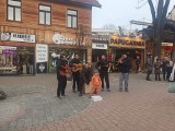 Zakopane. Romskie kapele z Krupówek coraz większym problemem dla mieszkańców. Grają ładnie, ale za dużo i za głośno. I bez pozwoleń