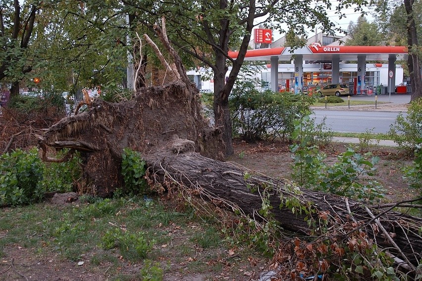 Teren w pobliżu skrzyżowania ulicy Grabiszyńskiej i Bzowej...