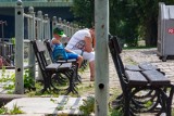 Bydgoszcz zyska nowe stojaki na rowery, ławki i kosze na śmieci