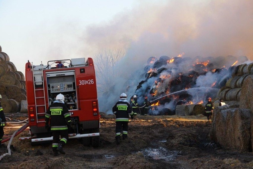 12 zastępów straży gasiło wielki pożar słomy na ul....