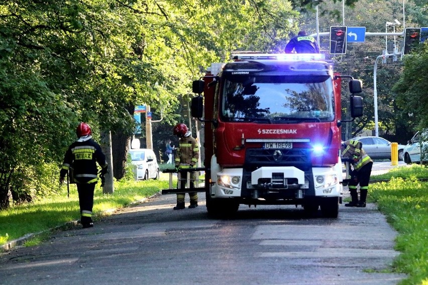 Akcja straży pożarnej w parku Szczytnickim we Wrocławiu...