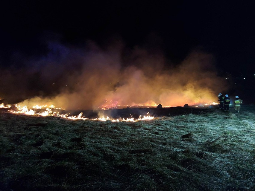 Już przeszło 300 razy strażacy na Podkarpaciu wyjeżdżali w marcu do pożarów traw na łąkach, polach, nieużytkach! [WIDEO]