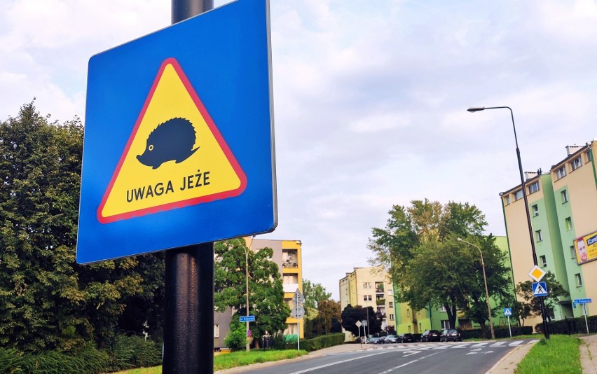 Tabliczki „Uwaga jeże” już na ulicach Lublina. Lokalizacje wskazali mieszkańcy