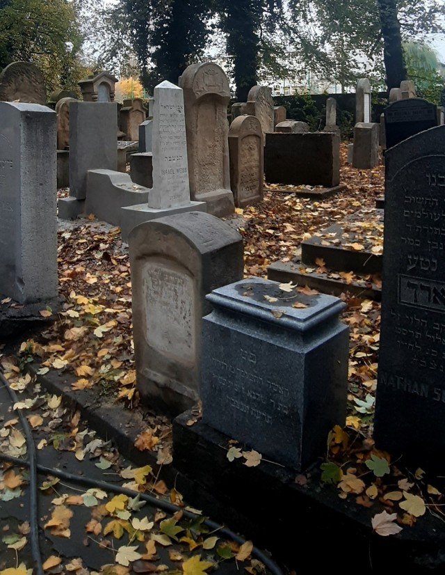 Jak informuje SKOZK, na cmentarzu zakończono teraz trzyletni cykl prac konserwatorskich, który objął 300 macew (po 100 w każdym roku)