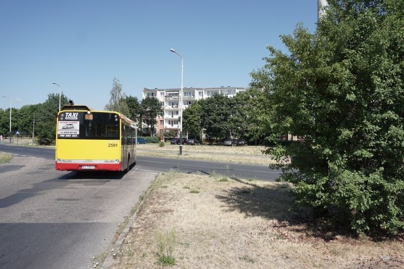 Niewidoczny znak przy ulicy Maratońskiej. Krzak zmienił zasady i oznakowanie ulicy... [ZDJĘCIA]