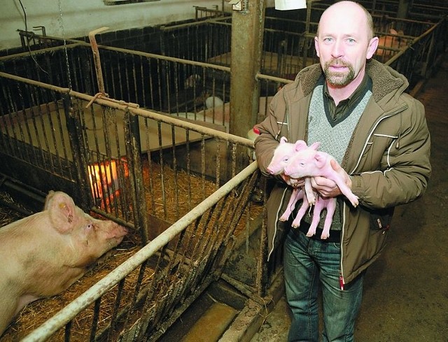 Andrzej Januszewski z Gościeradza nie chce dopłacać do produkcji świń. Rocznie sprzedaje 3,5-4 tysięcy tuczników