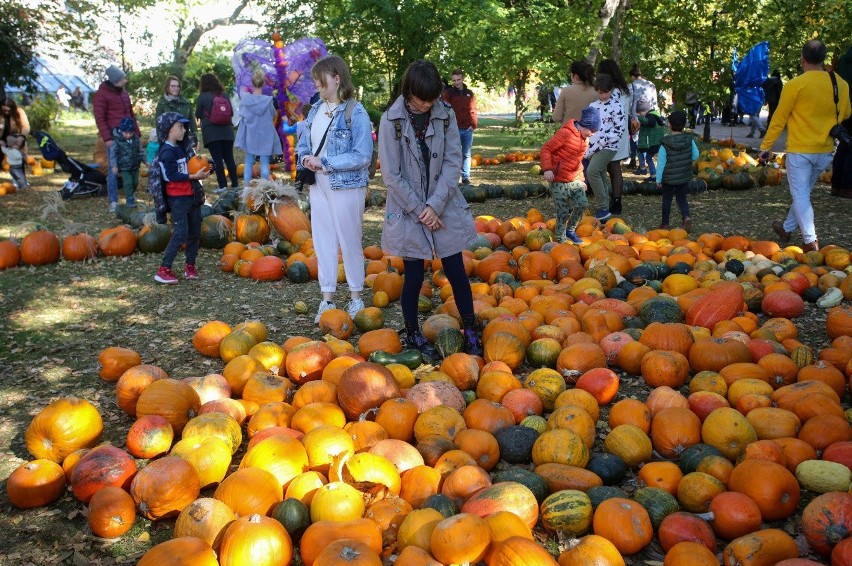 Dynie nie tylko na halloween! Dyniowy zawrót głowy 