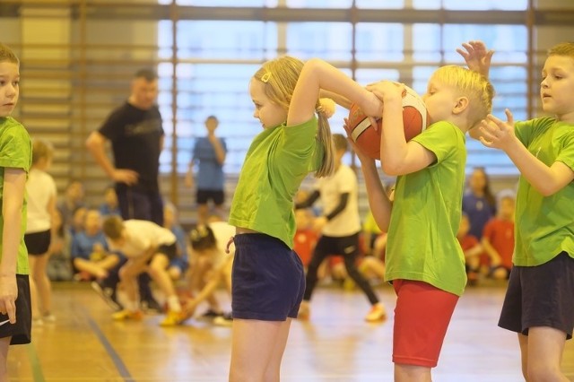 Złe czasy dla sportu i wychowania fizycznego w najmłodszych klasach. Nie dość, że do tegorocznej rywalizacji zgłosiła się najmniejsza ilość szkół, to jeszcze SP 34 zrejterowała i nie stawiła się w piątek na turnieju.W tej sytuacji SP 8 - 82 pkt i SP 15 - 65 pkt bez walki wywalczyły dwa miejsca w półfinałach. O zwycięstwie gospodarzy zadecydowały konkurencja klas I, III i IV, w których "ósemka" wywalczyła komplet punktów.To był już drugi ćwierćfinał tegorocznej edycji, więc połowa szkół już stanęła na starcie. Przypomnijmy, że dwa dni temu także triumfowali faworyci, finaliści z poprzedniego roku: 1. SP 32 - 77 pkt, 2. SP 6 - 67 pkt, 3. SP 5 - 36 pkt. Kolejne dwa ćwierćfinały 18 i 19 lutego.