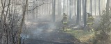 Kolejny pożar lasu w powiecie kościerskim. Tym razem paliło się w Olpuchu w gm. Stara Kiszewa. W akcji uczestniczył samolot gaśniczy