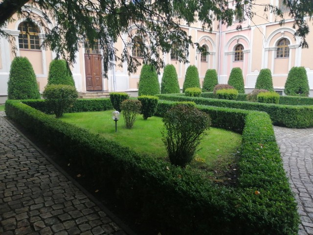 Piękne rośliny, podświetlane alejki, rzeźby, miejsca do odpoczynku, to wszystko kryją w sobie  ogrody przy Wyższym Seminarium Duchownym w Sandomierzu.
