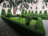 Zobacz co kryją ogrody przy Wyższym Seminarium Duchownym w Sandomierzu? Jest pięknie [ZDJĘCIA]