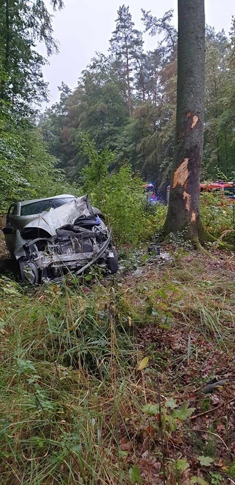 W niedzielę do groźnie wyglądającego wypadku doszło na trasie Złocieniec-Siecino. Samochód osobowy wypadł z drogi i uderzył w drzewo. Kierowca pojazdu został przewieziony do szpitala.MDP OSP Złocieniec facebookZobacz także Szczecinek: wypadek ciężarówki na DK11