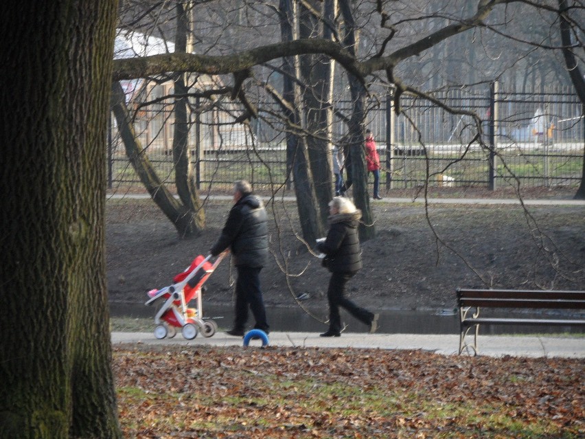 Spacer w Bytomiu w Parku Miejskim im. F. Kachla [ZDJĘCIA]