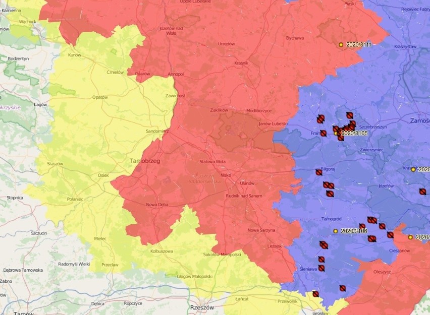 Afrykański pomór świń (ASF) na Podkarpaciu i w Lubelskiem wciąż groźny. Świętokrzyskie odgrodzi się siatką, by dziki nie przenosiły choroby