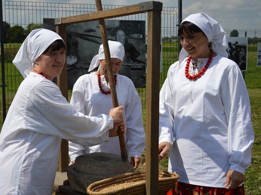 Na polach pracują kombajny, a w Ostrowie wyciągnęli z lamusa sierpy i kosy