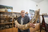 Muzeum archeologiczne w Nowej Hucie. Jest tam nawet kieł mamuta [GALERIA]