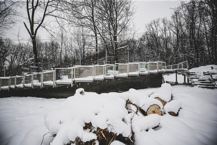 W śląskim zoo trwa budowa nowego wybiegu dla panter...