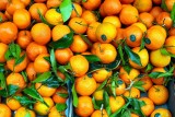 Co daje sok z pomarańczy? Sprawdź, jakie właściwości ma sok wyciśnięty ze świeżych owoców i kiedy najlepiej go pić