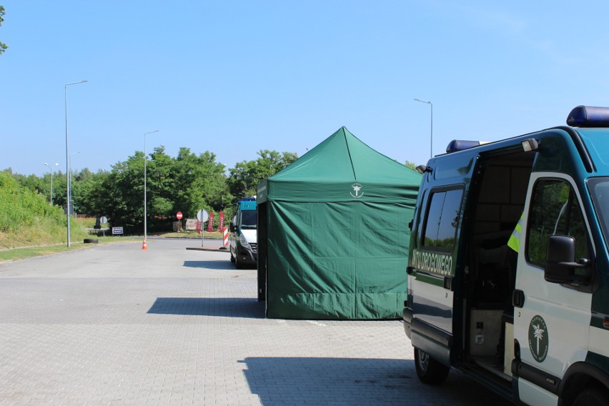 Międzynarodowa kontrola ITD w Rudzie Śląskiej. Inspektorzy sprawdzą tiry przewożące materiały niebezpieczne ZDJĘCIA