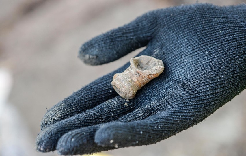 Archeolodzy pracują na ul. Kościuszki w Rzeszowie....